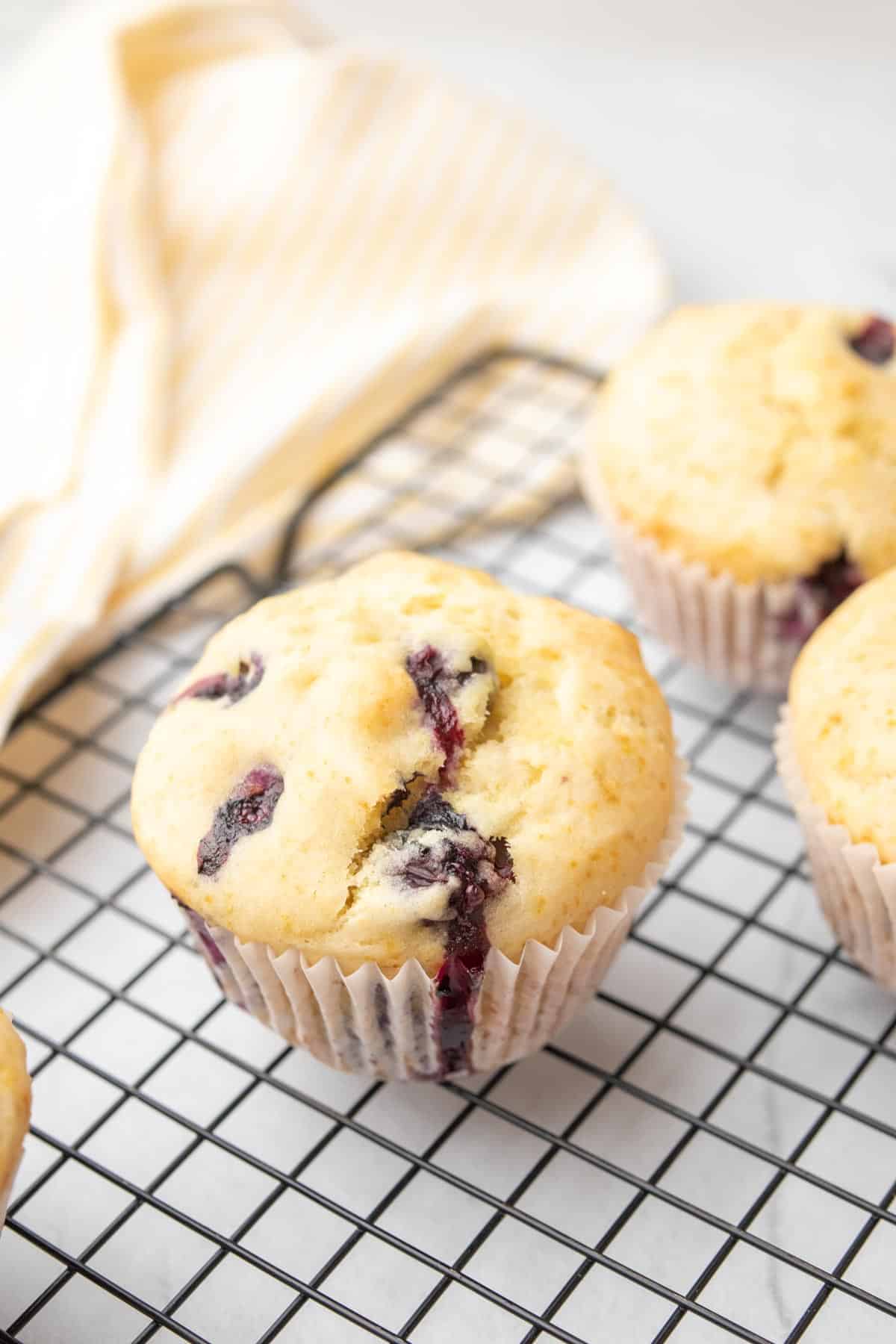 Easy Blueberry Muffins without Egg Air Fryer Recipes
