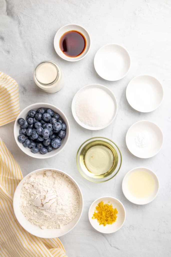 Easy Blueberry Muffins without Egg Air Fryer Recipes